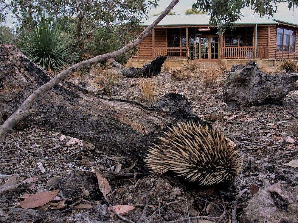 Kangaroo Island Wilderness Retreat Flinders Chase Exterior foto
