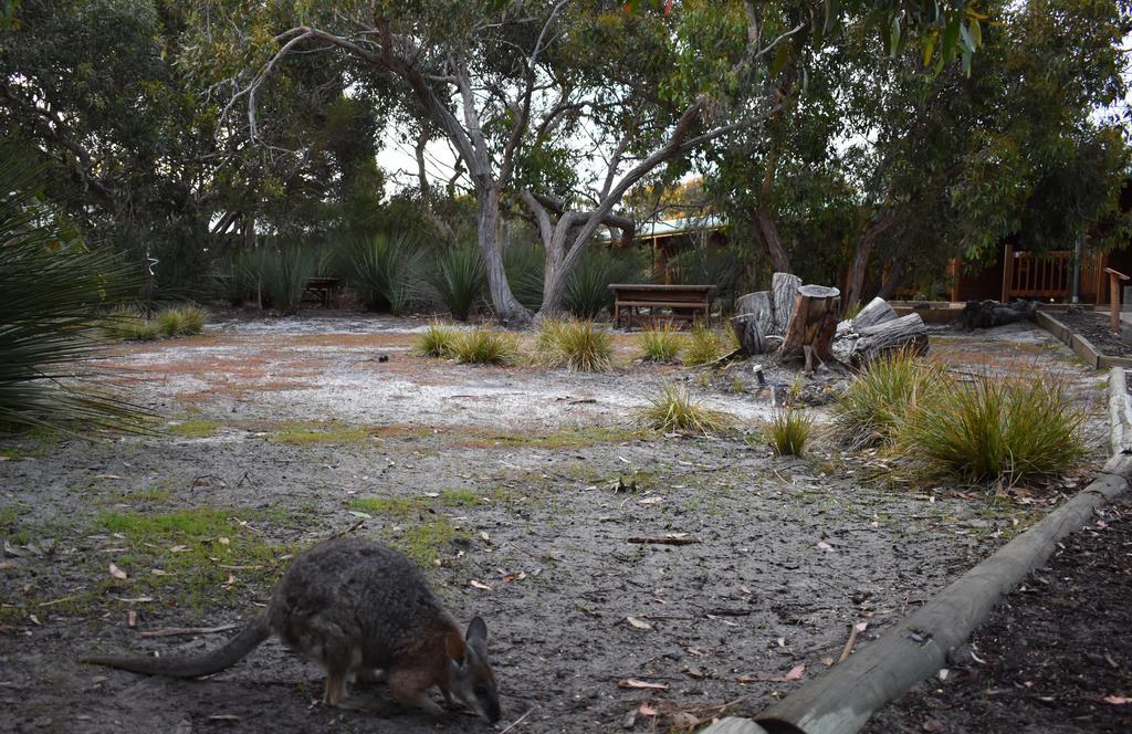 Kangaroo Island Wilderness Retreat Flinders Chase Exterior foto